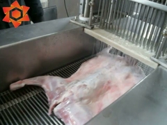 Testing video of saline injection machine